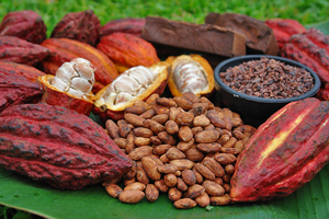Raw Cacao